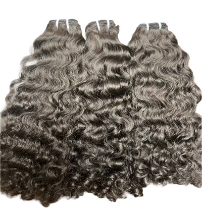 ELITE BURMESE CURLY
